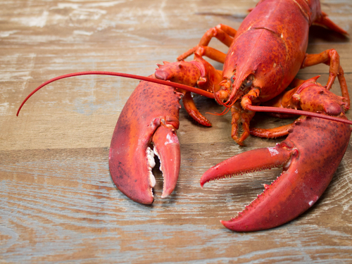 Reserve live lobster (deposit)