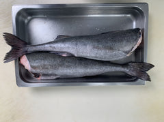 Fresh Wild BC Whole Black Cod (Sablefish)