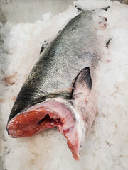 Fresh Wild BC Whole Red Spring Salmon (Gutted and Headed)